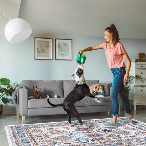Kitchen Rugs