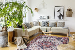 Rugs Depot NH1323 – Machine Washable Persian Heriz Rug | Traditional Oriental Medallion Carpet for Living Room, Bedroom & Dining