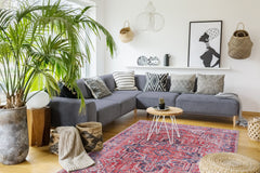 Rugs Depot Traditional Medallion Washable Rug Design NL1001