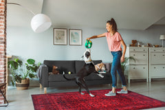 Rugs Depot NH1317 – Machine Washable Bokhara Red Rug | Classic Geometric Oriental Carpet for Living Room & Bedroom