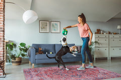 Rugs Depot Traditional Medallion Washable Rug Design NL1001