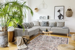 Vintage Area Rug 7659 – Beige Traditional Pattern