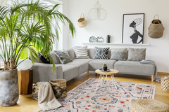 Vintage Area Rug 7655 – Light Grey Traditional Medallion