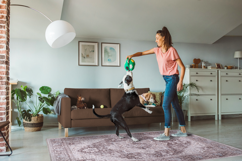 Rugs Depot Tribal Multicolor Geometric Washable Rug Design 1311