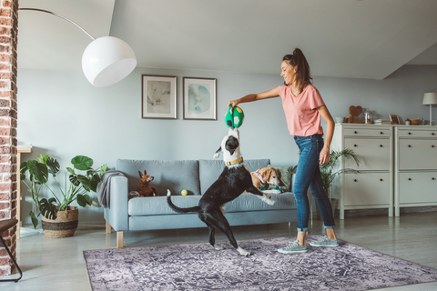 Rugs Depot Traditional Blue Abstract Washable Rug Design 1338