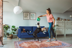 Rugs Depot Tribal Multicolor Geometric Washable Rug Design R1