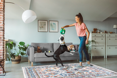 Vintage Area Rug 7650 – Cream Distressed Medallion