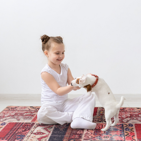 Rugs Depot Kilim Red Medallion Patchwork Washable Rug Design 1306