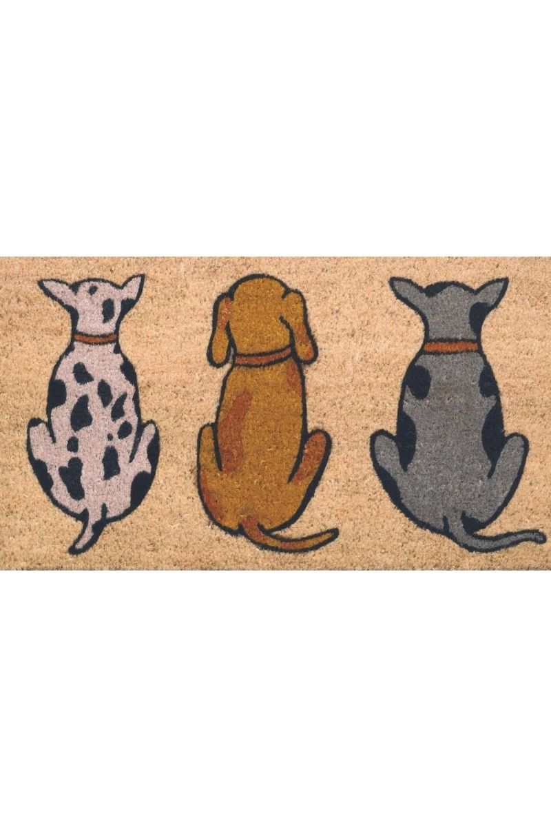 Coir Cats/Dogs Mats 45x75 cm | 132 — room photo 4