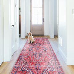 Rugs Depot Traditional Medallion Washable Rug Design NL1001