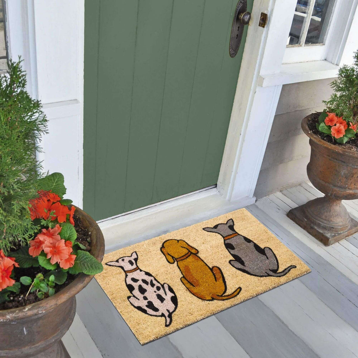 Coir Cats/Dogs Mats 45x75 cm | 132 — room photo 6