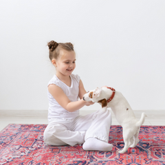 Rugs Depot Traditional Medallion Washable Rug Design NL1001