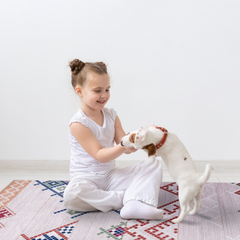 Rugs Depot - Bohemian Grey Striped Washable Rug, Design NL1002