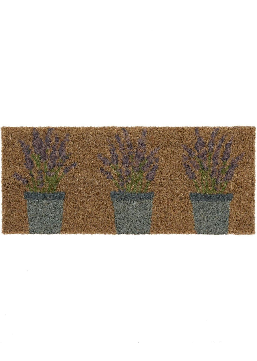 Outdoor Lavender Coir Insert (23x53cm)