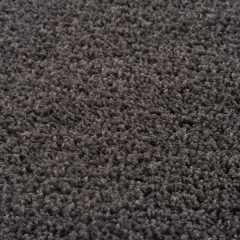 Myshaggy Solid Dark Grey Rug