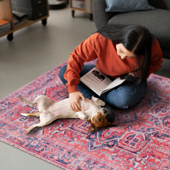 Rugs Depot Traditional Medallion Washable Rug Design NL1001