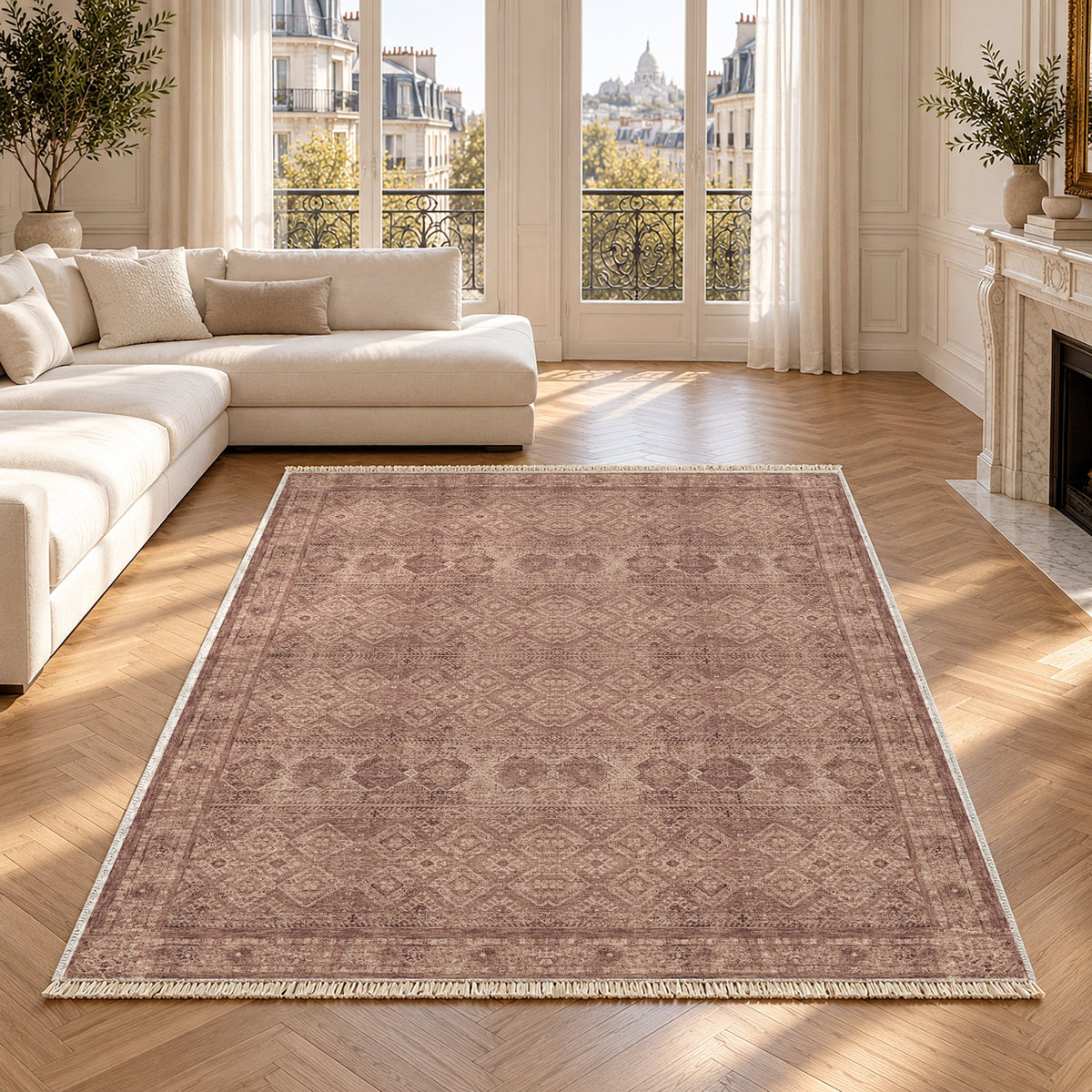 Anatolian Tonal Clay & Rose washable rug in a Paris living room