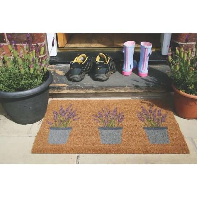 Outdoor Lavender Coir Insert (23x53cm) — room photo 2