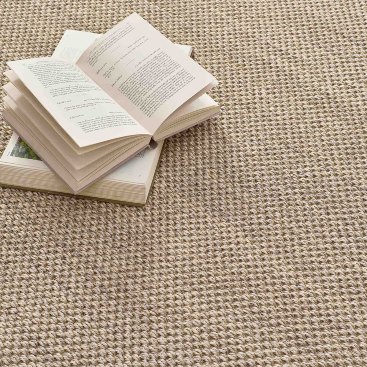 Bordered Light Beige Non-Slip Sisal Rug — room photo 2