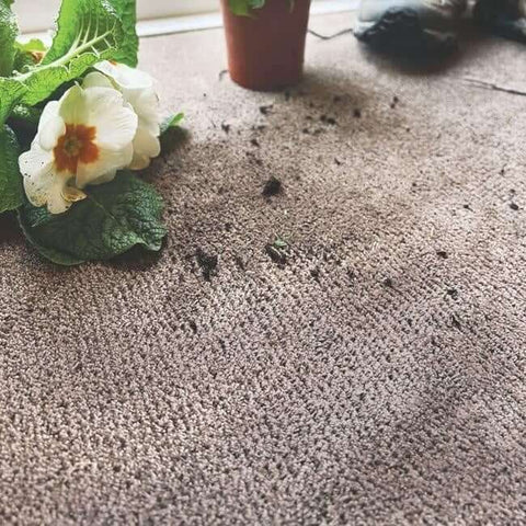 Washable Soft Pet Mat and Runner