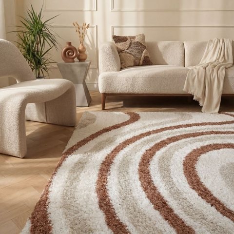 Shaggy Rugs